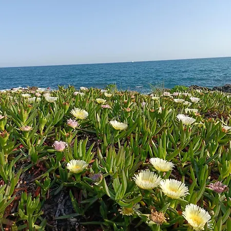 Superbe Acces Direct Plage, Corniche Sète