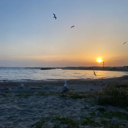 Superbe Acces Direct Plage, Corniche Apartmán *